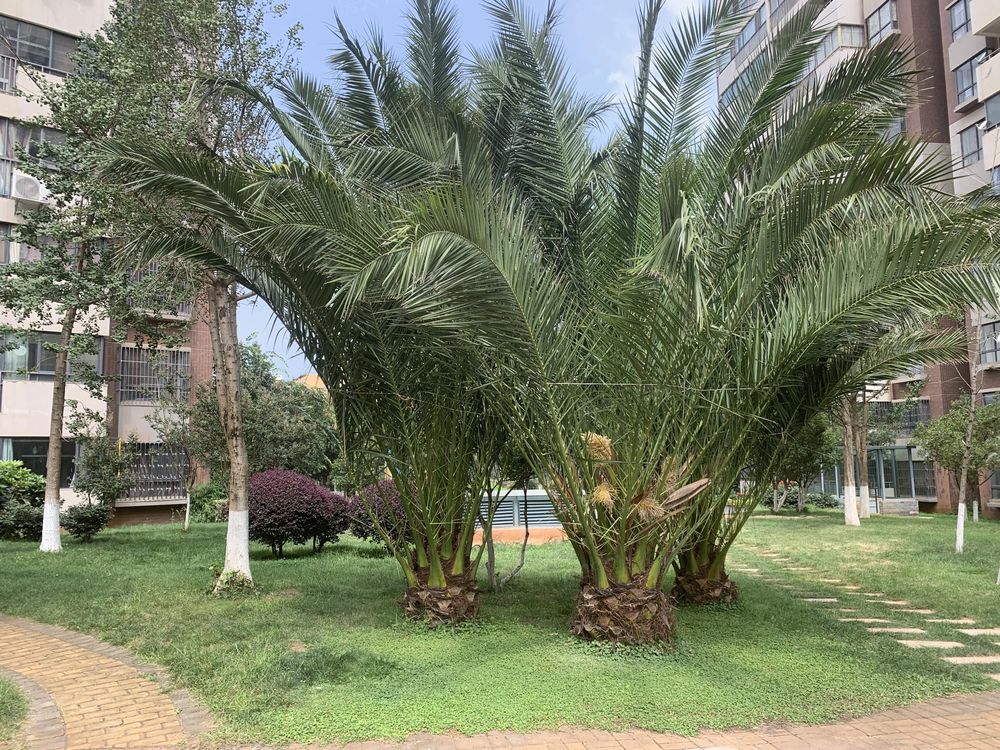 小区相关图