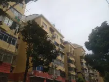 商品房,带30多平花园,位置好,采光好