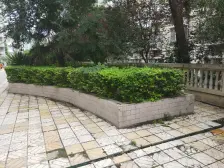 社区湖适生活 2室1厅 南 北