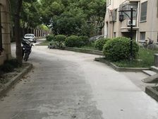 三星苑3室2厅北南