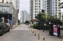 延福花园实景图