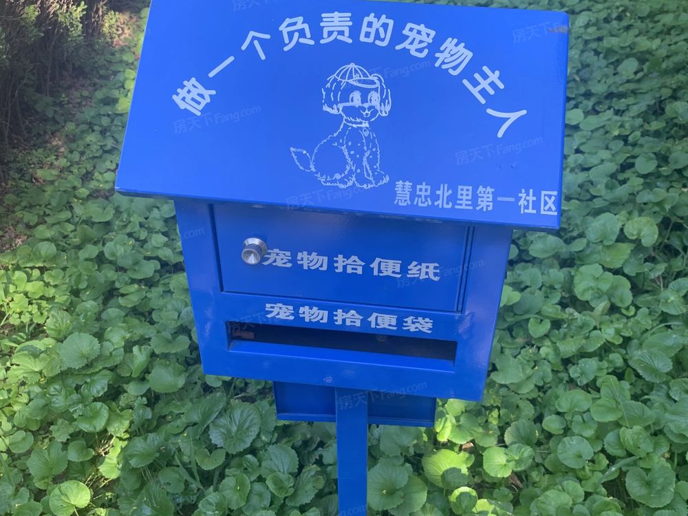 小区相关图