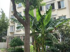 大两房两卫,楼层好,装修保养好。