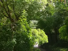 交 大 附属,嘉定新城站,万达旁,楼层好,交通便利