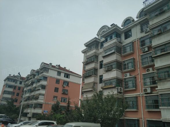 信义人生实景图