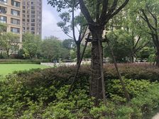 全南户型,大开间,不靠近马路,品质小区