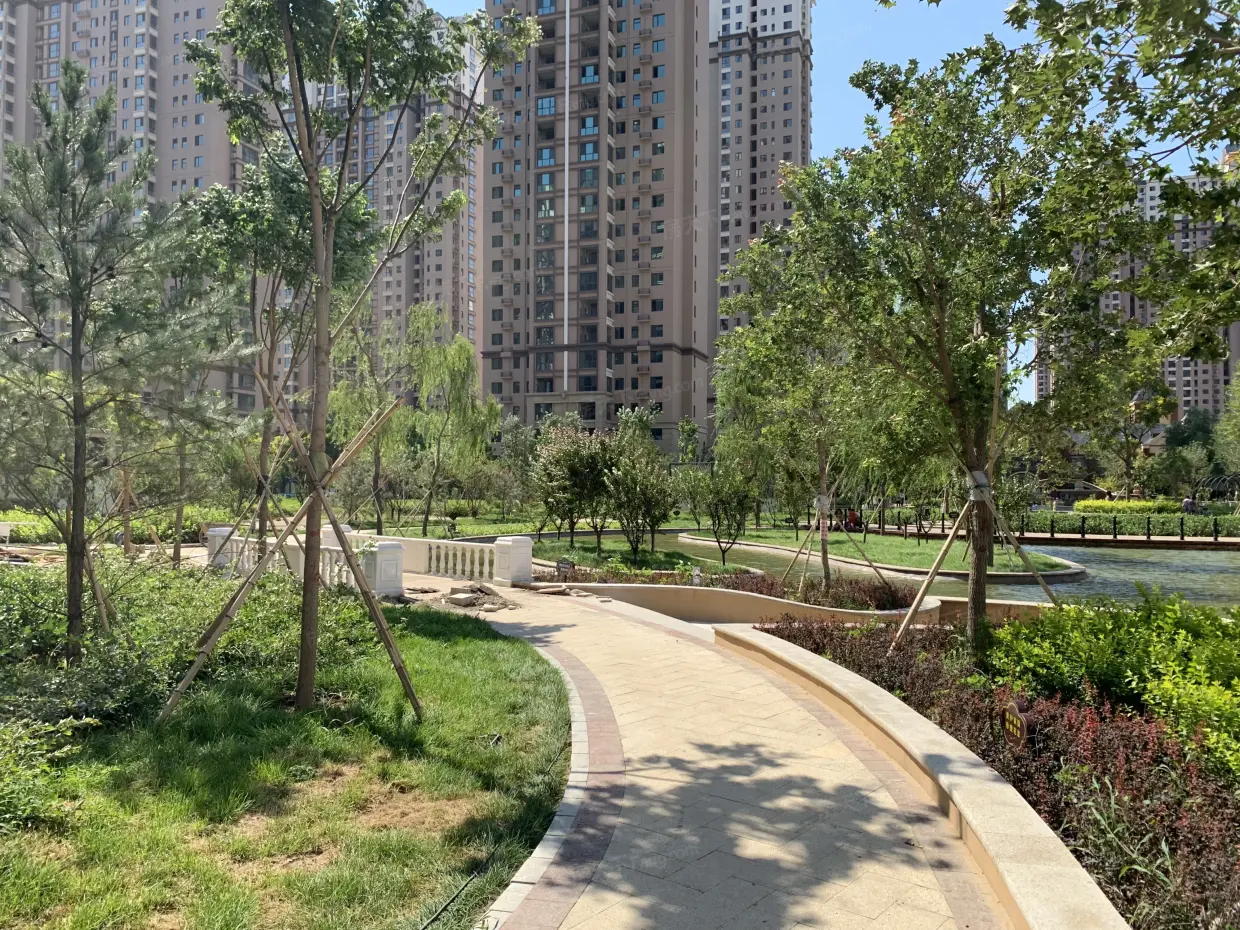 天洲视界城