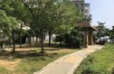 新星绿城五期实景图
