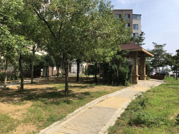 新星绿城五期实景图