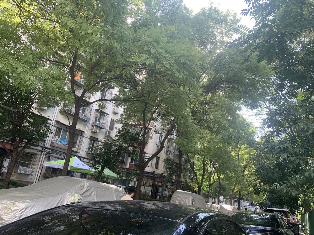 小区相关图