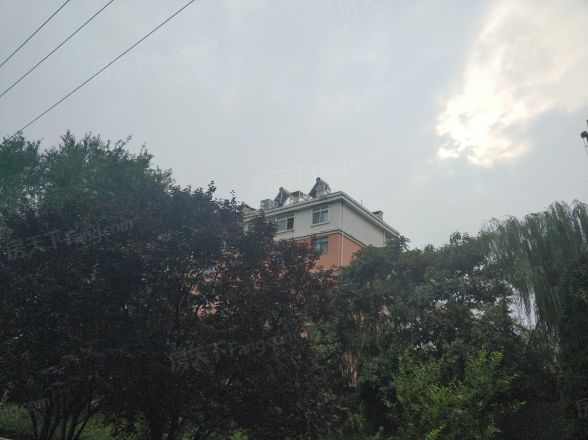 信义人生实景图