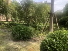 刚需上车,电梯房 随时看房 新上房源