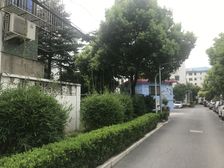地铁口,一楼带双天井,天井25平,房间客厅都朝南