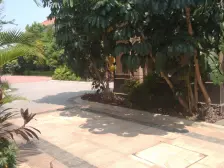 中间楼层 视野开阔 户型方正