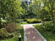 弹子石南滨路次新小区 丽江风格小高层 双卫