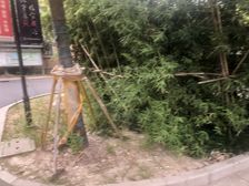 汇尊国际2室1厅东北