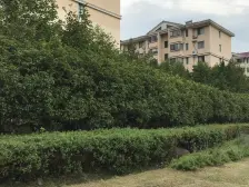 飞机户型三房,面积大得房率高,诚意出售