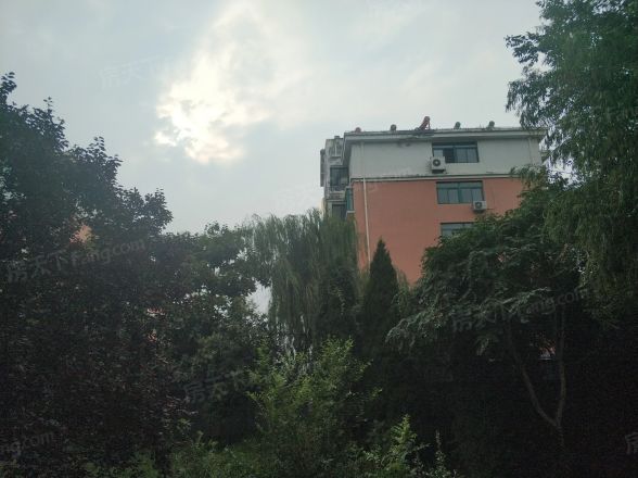 信义人生实景图