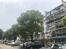 精装修~位置好~楼层好~看房方便~