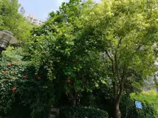 保利家园南区 1室2厅 南