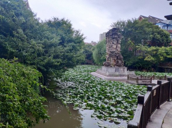 南郊美墅实景图
