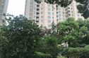 南通运杰龙馨园实景图
