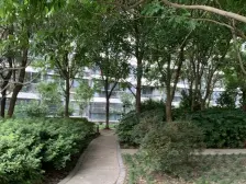 精装,产权清晰 电梯房 业主诚意