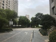景观楼层,精装修,飞机户型,满五年