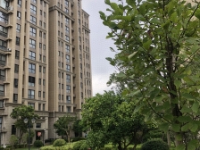 保利大联排 中间位置 带大花园 可上明珠 诚心出售