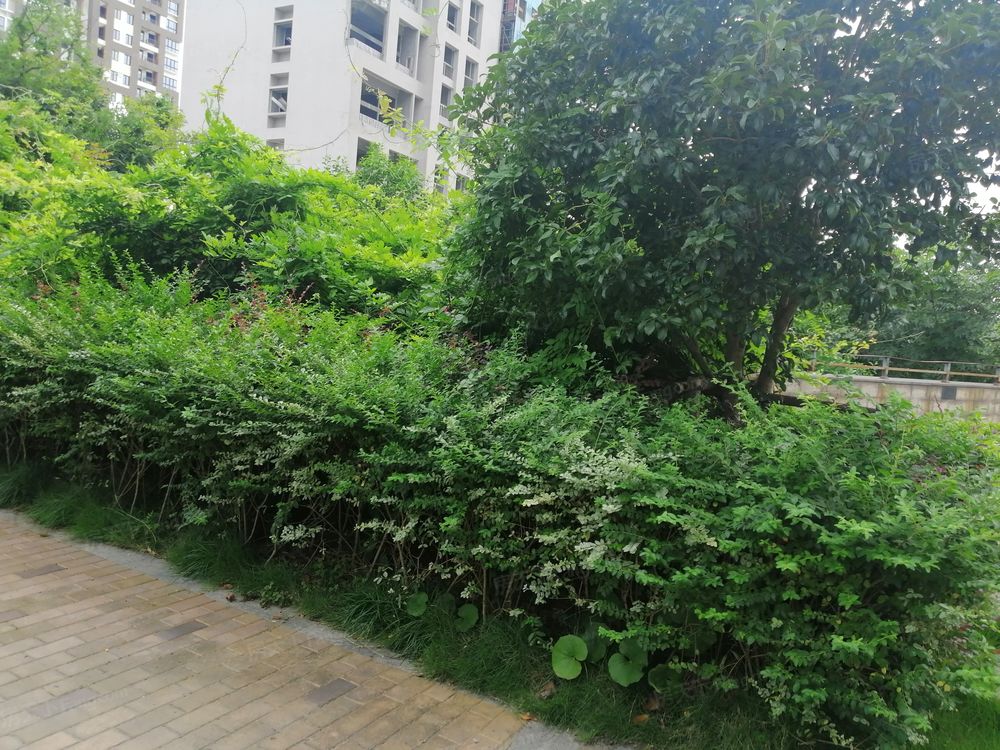 小区相关图
