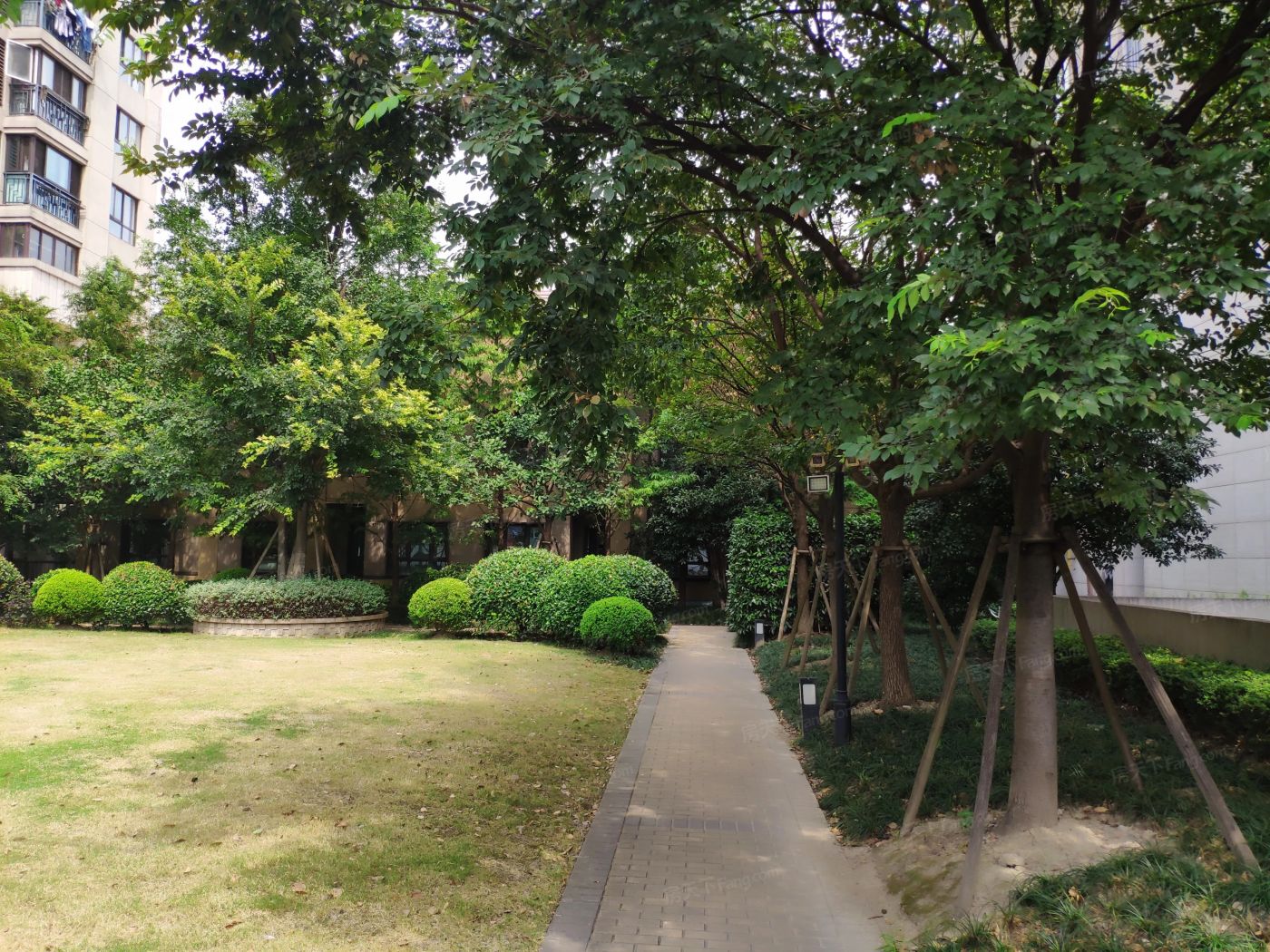 实景图