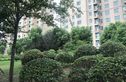 南通运杰龙馨园实景图