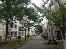 临港大三房 高楼层 纯毛坯 采光刺眼 南北通