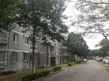 新芦苑3室2厅南北