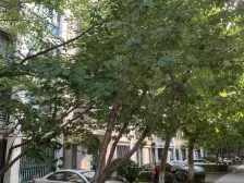 名仕世家花苑 3室2厅 南