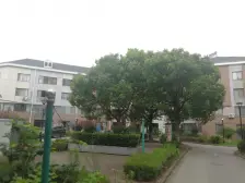 低密度小区,步梯中间楼层,南北通双阳台大三房