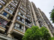 层高3.3米,可以看黄浦江,苏河湾板块,