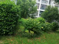 远香舫新苑2室南朝向345.00万元/套出售