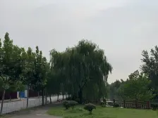 挑空客厅 带车库 带露台 联排别墅 中间套 随时看房