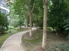 林水美地苑 1室1厅 南 北