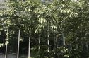 艾格美国际公寓实景图