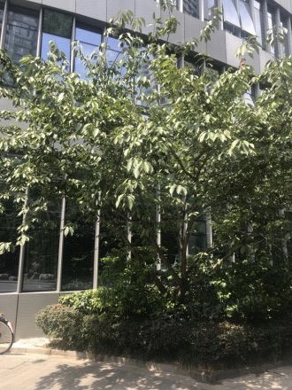 艾格美国际公寓实景图
