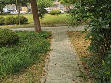 入住快,电梯房,产权清晰 新上房源