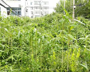 潍坊高新区华银小区3室1厅南北