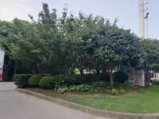 中粮南桥半岛西区 3室2厅 南