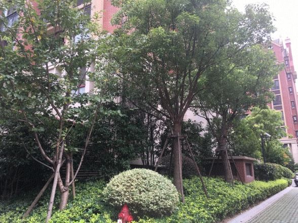保集澜湾实景图