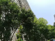 嘉定区嘉定新城保利家园-洪德路333弄4室2厅