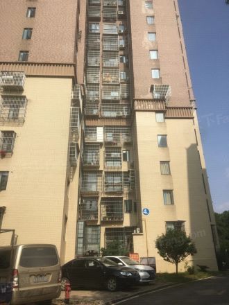 月亮湾草莓街区实景图