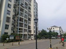 清水毛坯一居室,采光好,业主急售