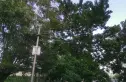 骚子营实景图